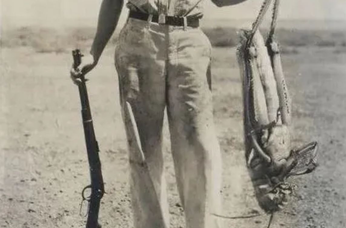 Подстреленный огромный кузнечик в 1937 году
